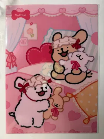 몰티즈 Maltese 줄무늬 강아지 클리어 파일 혜택