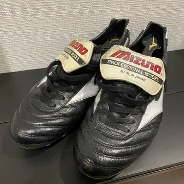 모렐리아 2 JAPAN 25.5