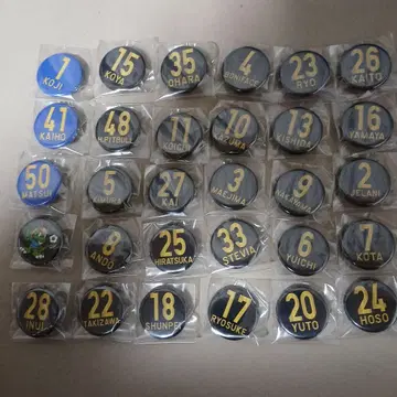 미토 홀리호크 2018년경 가챠 캔뱃지 전 30종 컴플리트 세트