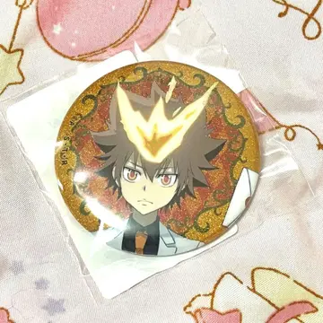 가정교사 히트맨 REBORN! DMM 스크래치 사와다 츠나요시 캔뱃지