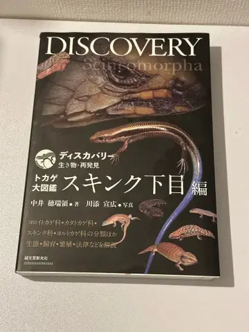 스킨크목 편 디스커버리 생물 재발견