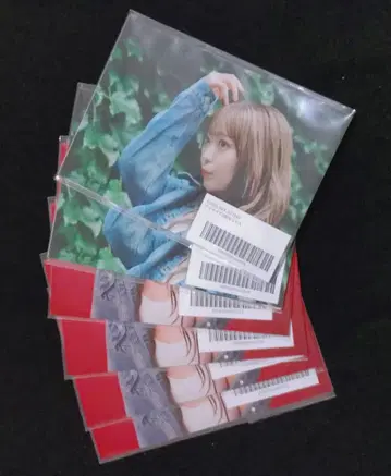 사이토 슈카 스크래치 브로마이드 세트