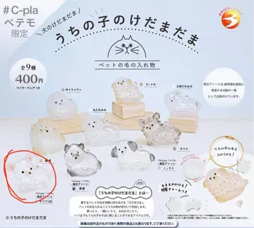 우리 아이 털뭉치 치와와(화이트) 한정판