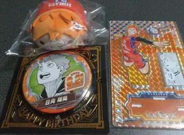 하이큐 히나타 쇼요 생일 디오라마 피규어 캔 배지 누루캬라 마스코트