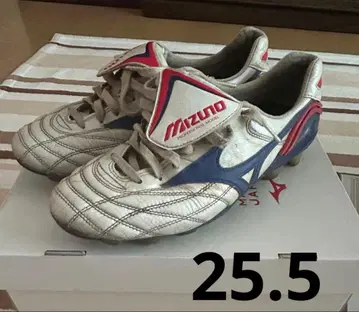 모렐리아 웨이브 25.5cm