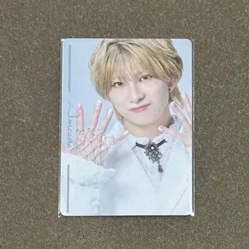 캐터리아 트레이딩 카드 아메쇼 이와사키 유가