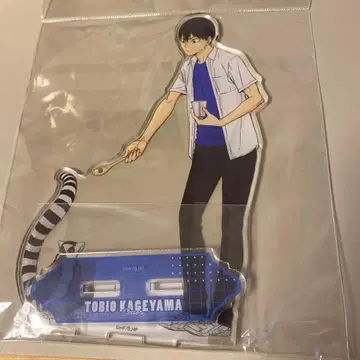 하이큐 BIG 아크릴 스탠드 카게야마 토비오