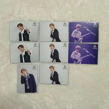 Mrs. GREEN APPLE 와카이 히로토 포토 카드 세트