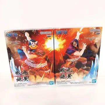 원피스 전광절경 도리 & 브로기