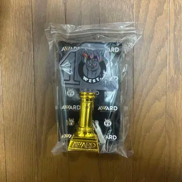 WEST. AWARD 응원봉