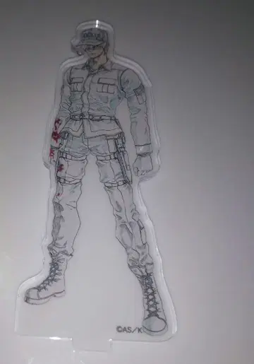 일하는 세포 원화전 아크릴 스탠드 백혈구 본체만