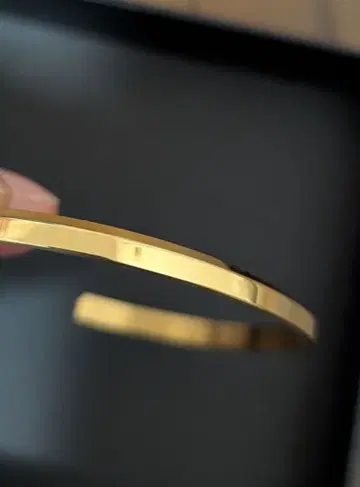 loseford 골드 뱅글 316L luxury bangle