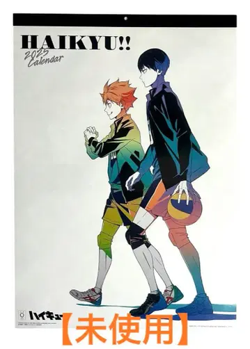 하이큐 HAIKYU 2025 달력