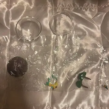 포켓몬 테라리움 컬렉션 14 리피아