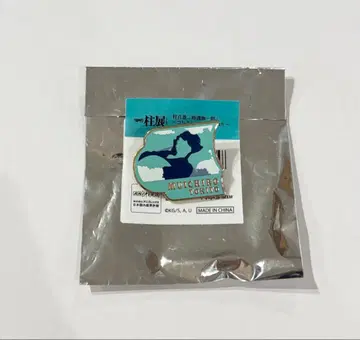 귀멸의 칼날 기둥전 기둥 백경 컬렉션 핀즈 토키토 무이치로 핀 배지