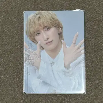 캣테리아 후쿠자와 유우 벵갈