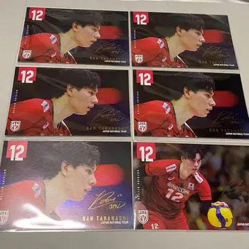 배구 남자 일본 대표 엽서 타카하시 란