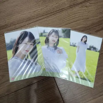 이코라브 사사키 마이카 이 하늘이 트리거 컴프