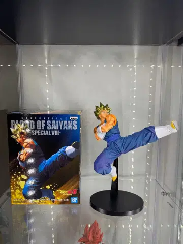 BLOOD OF SAIYANS 베지트