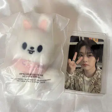 straykids 리노 봉제 인형 트레이딩 카드