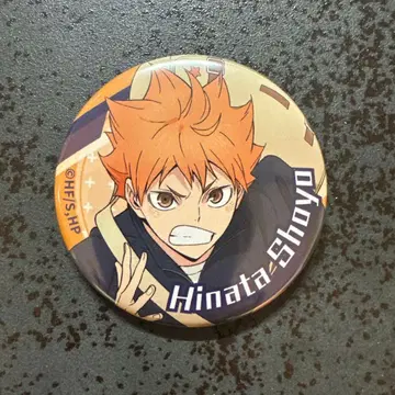 하이큐!! 점페스 2026 캔뱃지 히나타