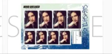 WIND BREAKER 증명사진관 스기시타 쿄타로