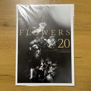 innocent grey flowers 지클레 혜택 flowers20