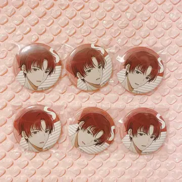 아오페라 히나노 히데 캔뱃지 6개 세트 익명 배송