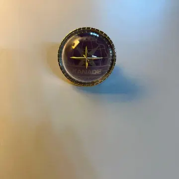 프로세카 세카라이 5th 요이사키 카나데의 링 라이트