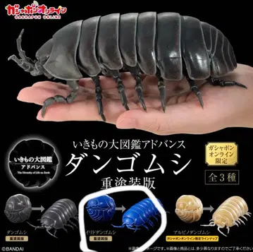 생물대도감 어드밴스 중 페인팅판 온라인 공벌레 파랑