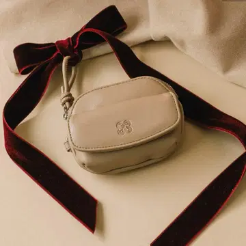 Kastane 코인 케이스