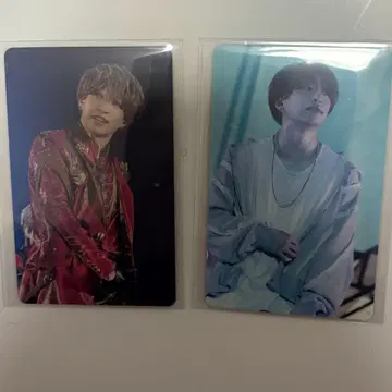 센라 포토 카드