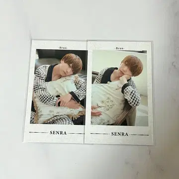 우라시마사카타센 센라 Brun 폴라로이드 2장 세트