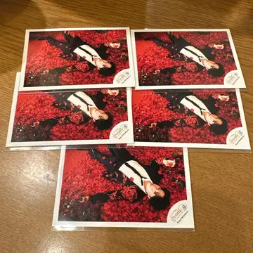 [ 익명 배송 ] 미야타테 료타 미니 포토 스티커