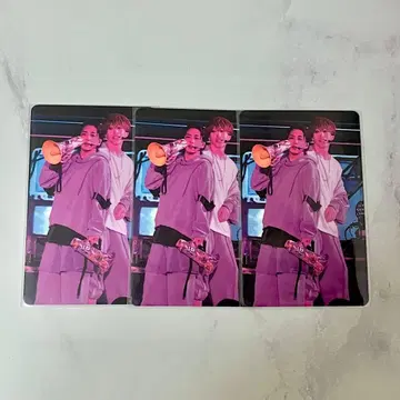 우라시마사카타센 WARN12G 시마센 미니 포토카드 3장 세트