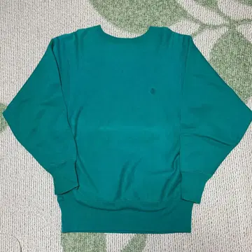 90s champion 리버스 위브 무지 에메랄드 그린 M 사이즈