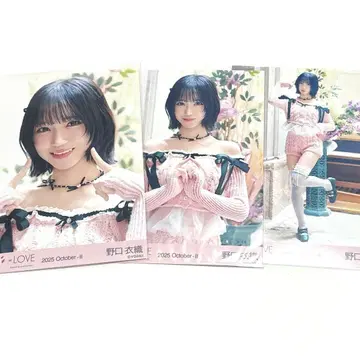 =LOVE 이코라부 노구치 이오리 브로마이드 핑크 니트 컴프