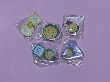 코지코지 마그넷 시크릿