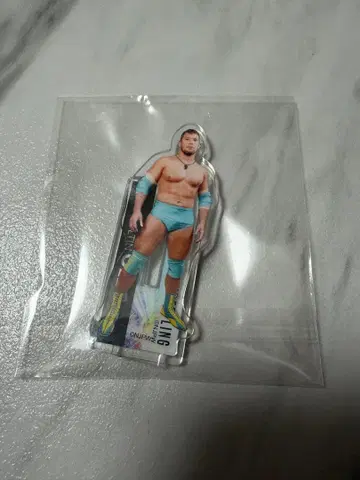 신일본 프로레슬링 WRESTLE KINGDOM 20 복권 볼친 올레그