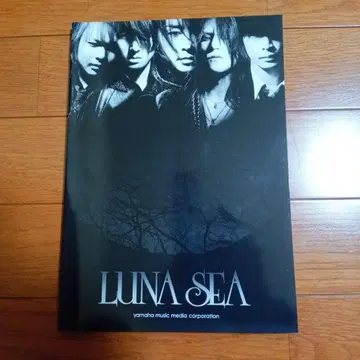 LUNA SEA 음악 서적