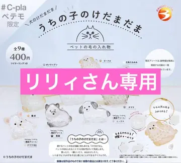 우리 아이 털뭉치 포메라니안