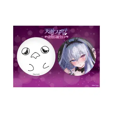 천제 포르테 2025 생일 캔뱃지 세트