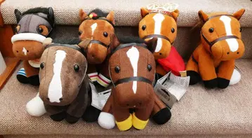 [ 중고 세트 ] 아이돌 호스 오르페브르 아몬드 아이 등 6체 세트