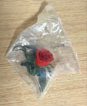 제일복권 비올란테 몬스터 헤드 마그넷 고질라