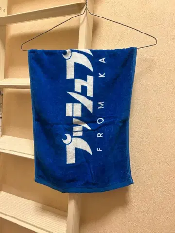 푸시풀 포트 타월 파랑