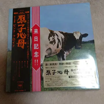 핑크 플로이드 내한 기념 원자력 심장 어머니 새상품 미개봉