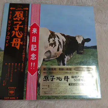 핑크 플로이드 내한 기념 원자력 심장 어머니 새상품 미개봉