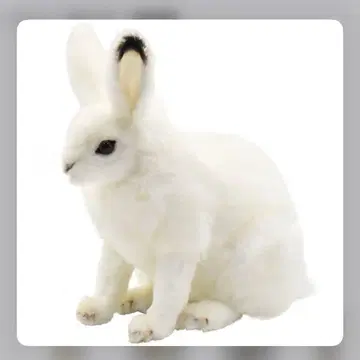 HANSA 화이트 토끼 봉제 인형