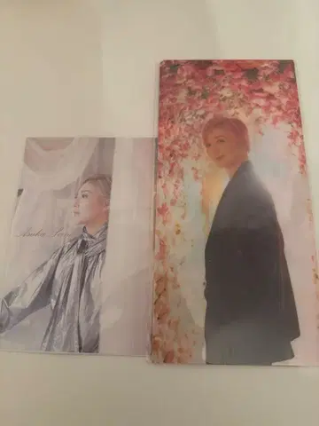 세이노 아스카 악마성 드라큘라 다회 굿즈