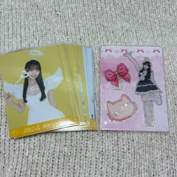 가련한 아이보리 후쿠다 히나타 묶음 판매